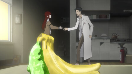 Steins Gate Netflix