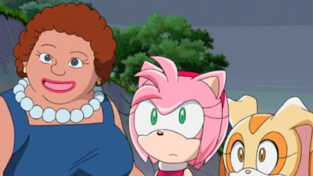 Sonic X Netflix