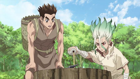 Dr Stone Netflix