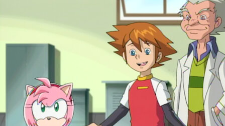 Sonic X Netflix