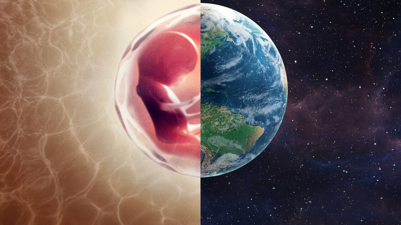 ヒューマンボディ 内側からわかる身体の仕組み Netflix ネットフリックス 公式サイト