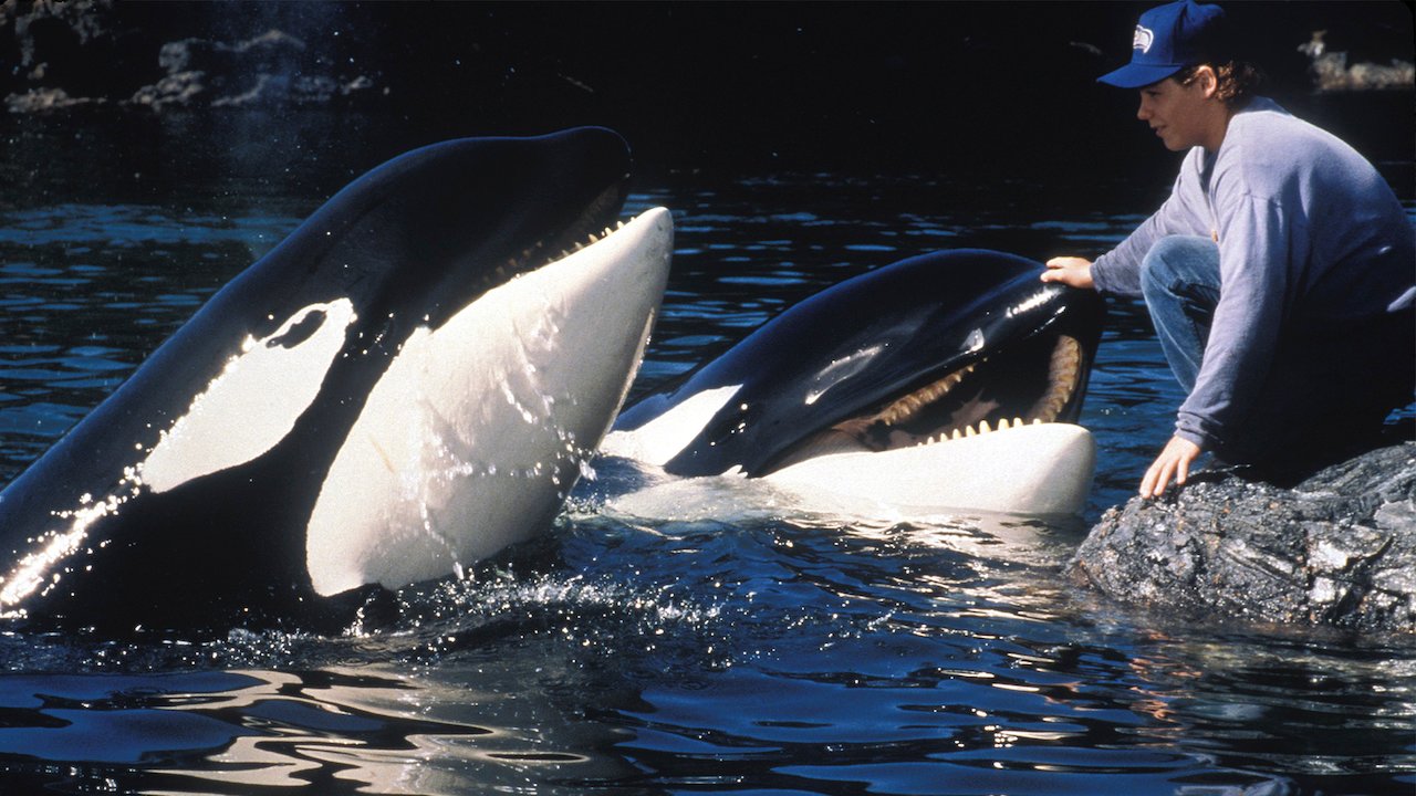 Free Willy 2 The Adventure Home Netflix