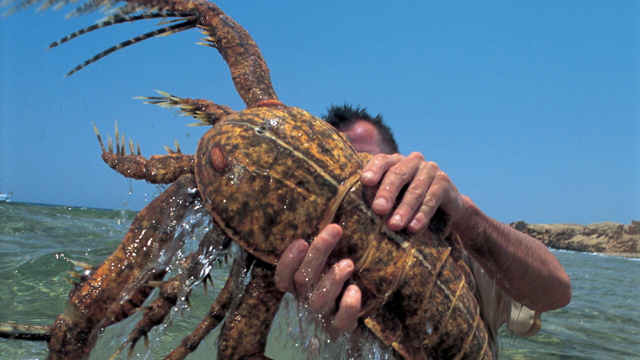 walking with dinosaurs sea monsters