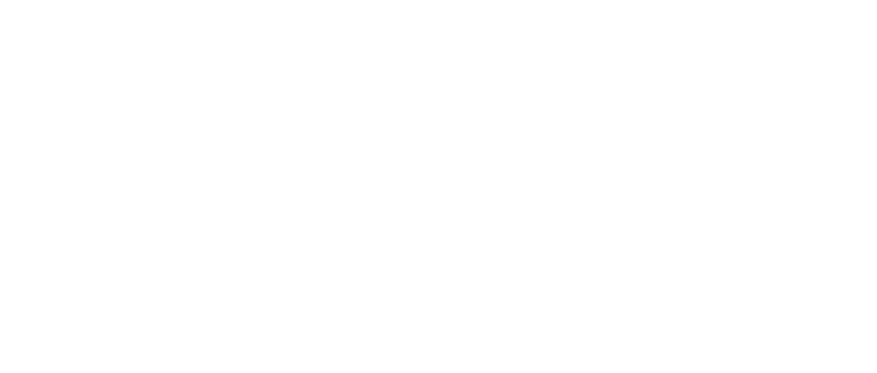 Au Service De La France Netflix