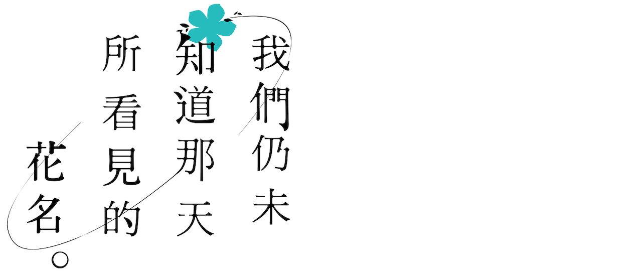 我們仍未知道那天所看見的花名 Netflix
