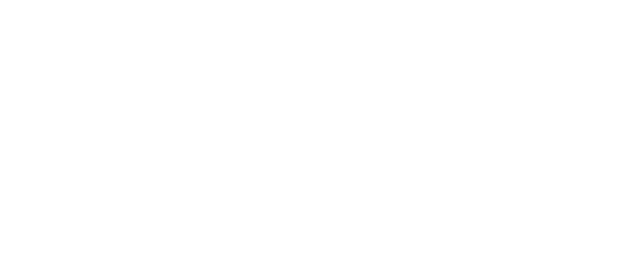 The Mirror Has Two Faces Netflix