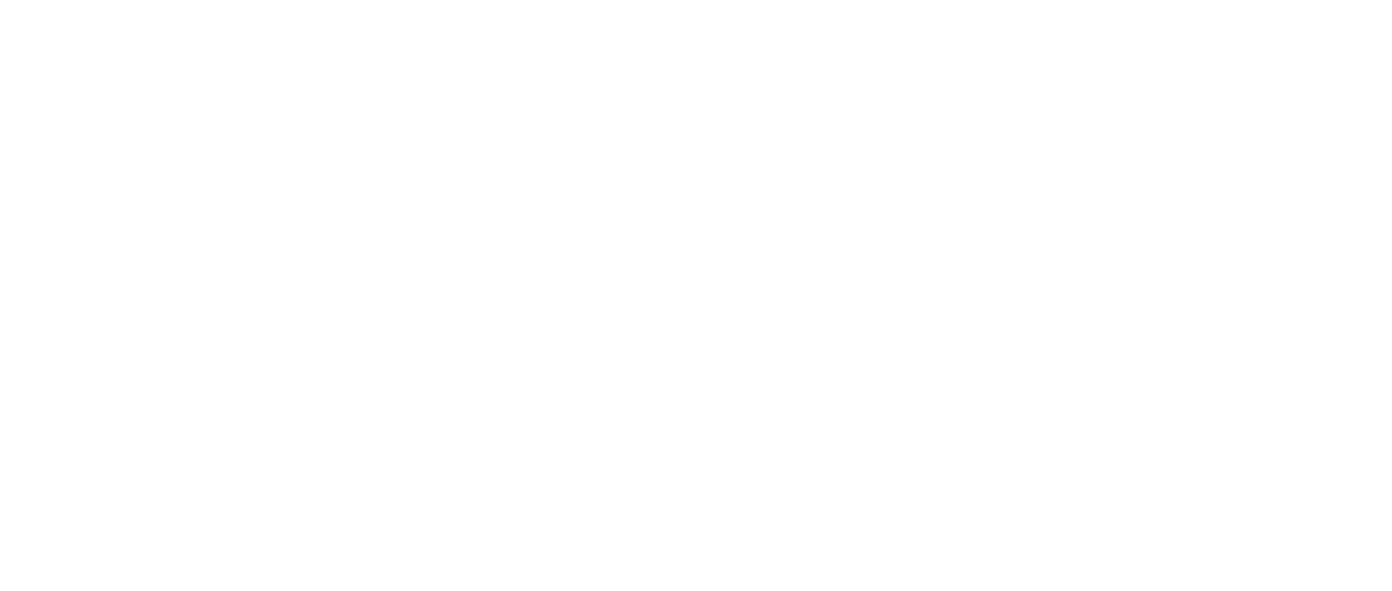 Chat Noir Chat Blanc Netflix Chat Noir Chat Blanc Netflix
