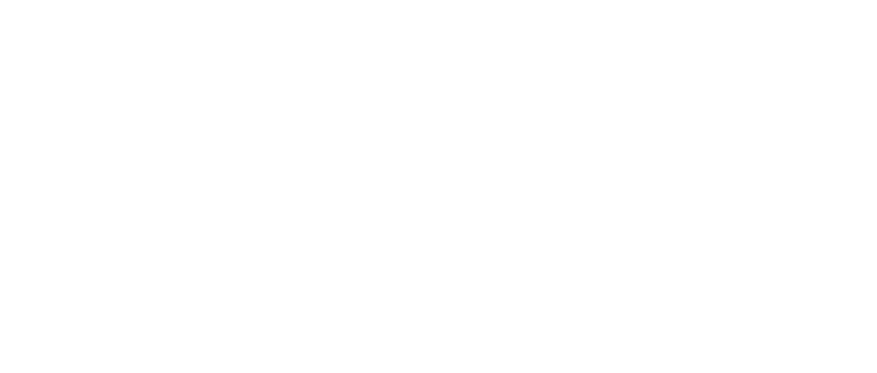 マッドモンク 魔界ドラゴンファイター Netflix