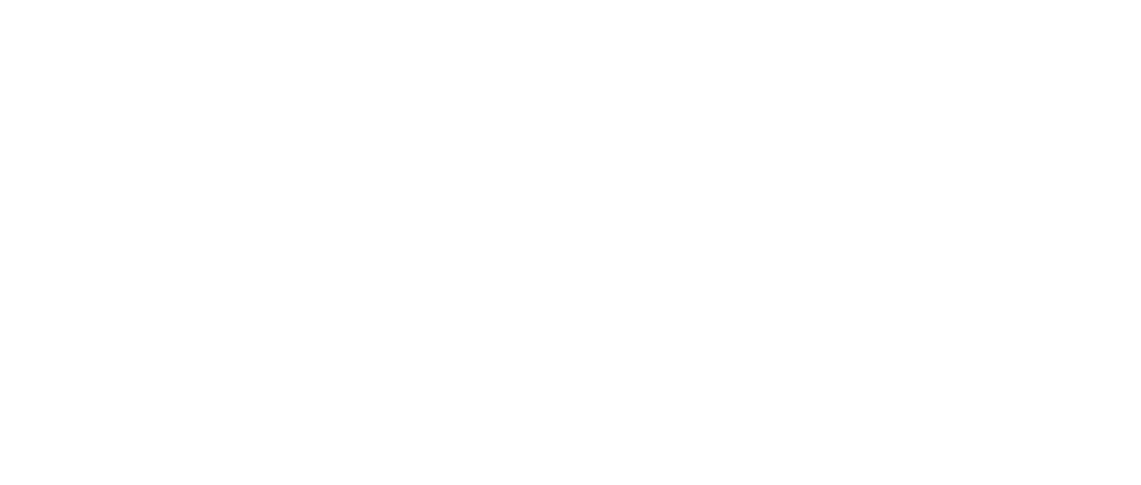 Chinese Movie Dragon Tiger Gate