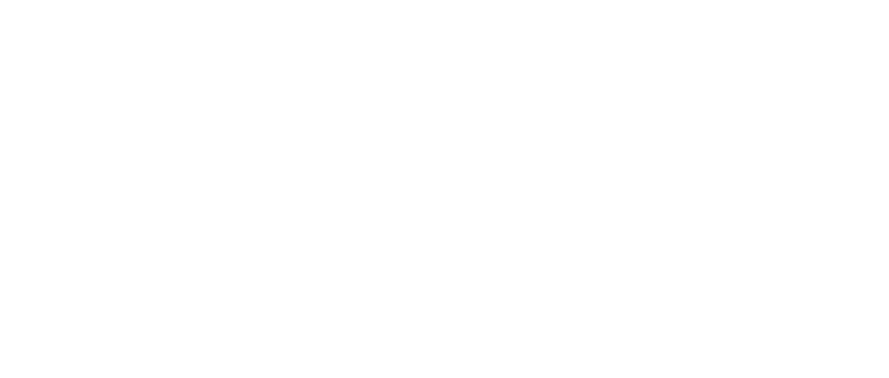 ココ アヴァン シャネル Netflix