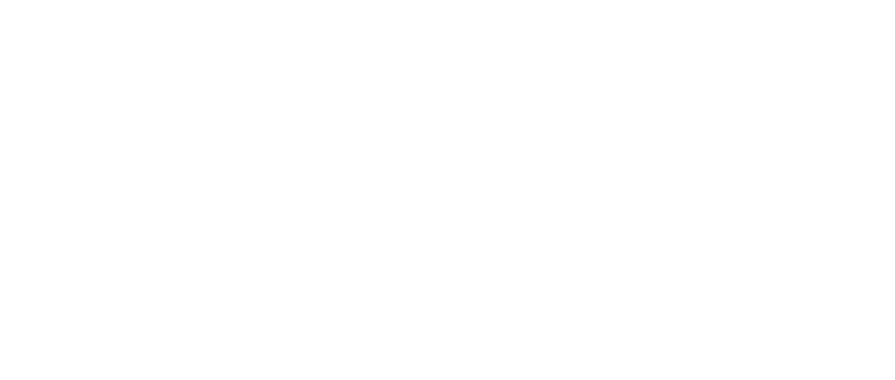 しあわせの隠れ場所 Netflix