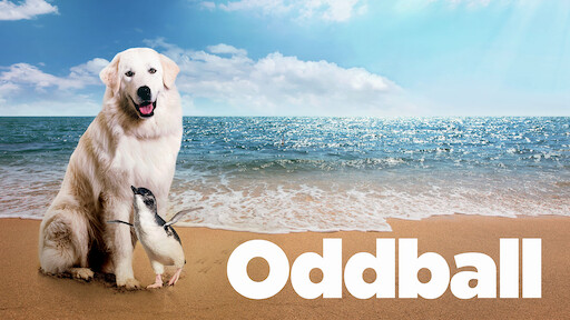 black beauty breed netflix